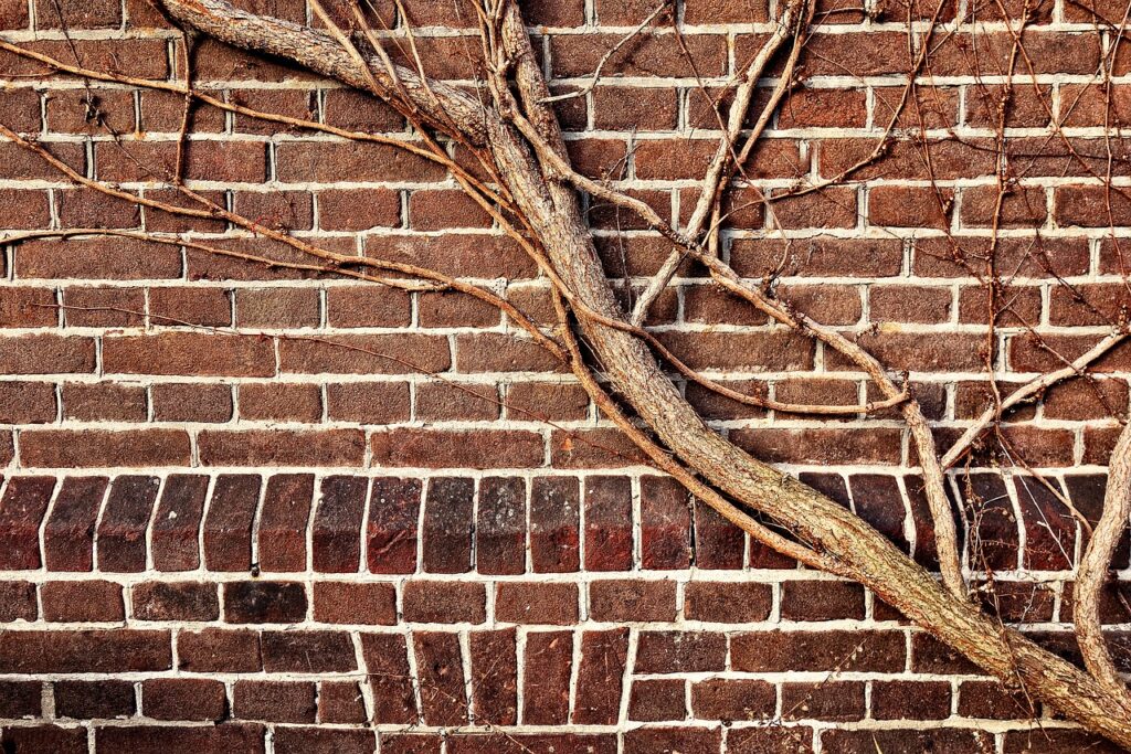 wall, brick wall, brown brick wall-3055177.jpg
